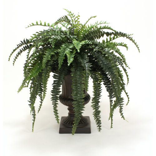Distinctive Designs 37'' Faux Fern Plant in Urn Wayfair